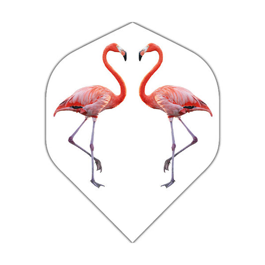 BD Flamingo flight