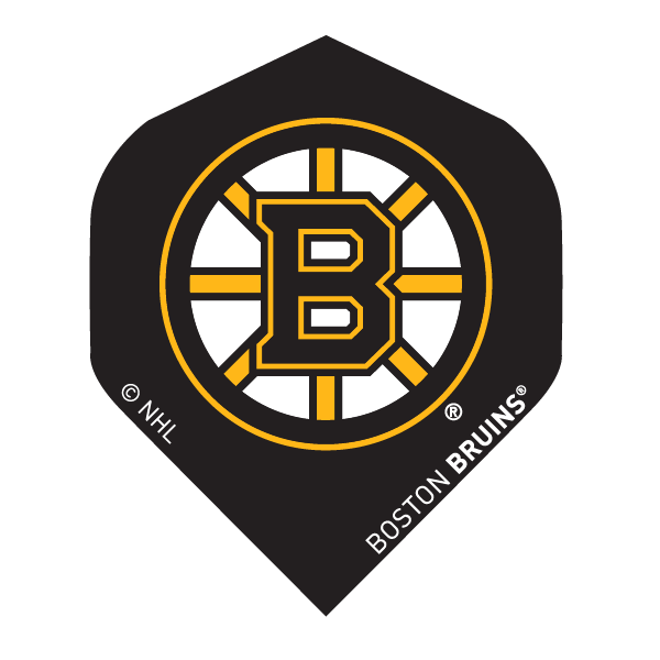 NHL® Boston Bruins® Flights NHL® Boston Bruins® Flights