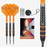 Raymond Van Barneveld 95K SP 95% Tungsten darts showing three darts, black round swiss tool case, and a branded packaging on a light gray background.