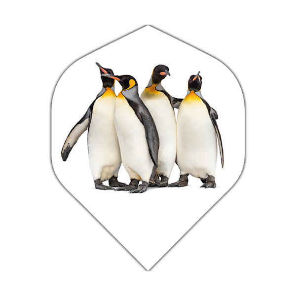 BD Penguins Flights