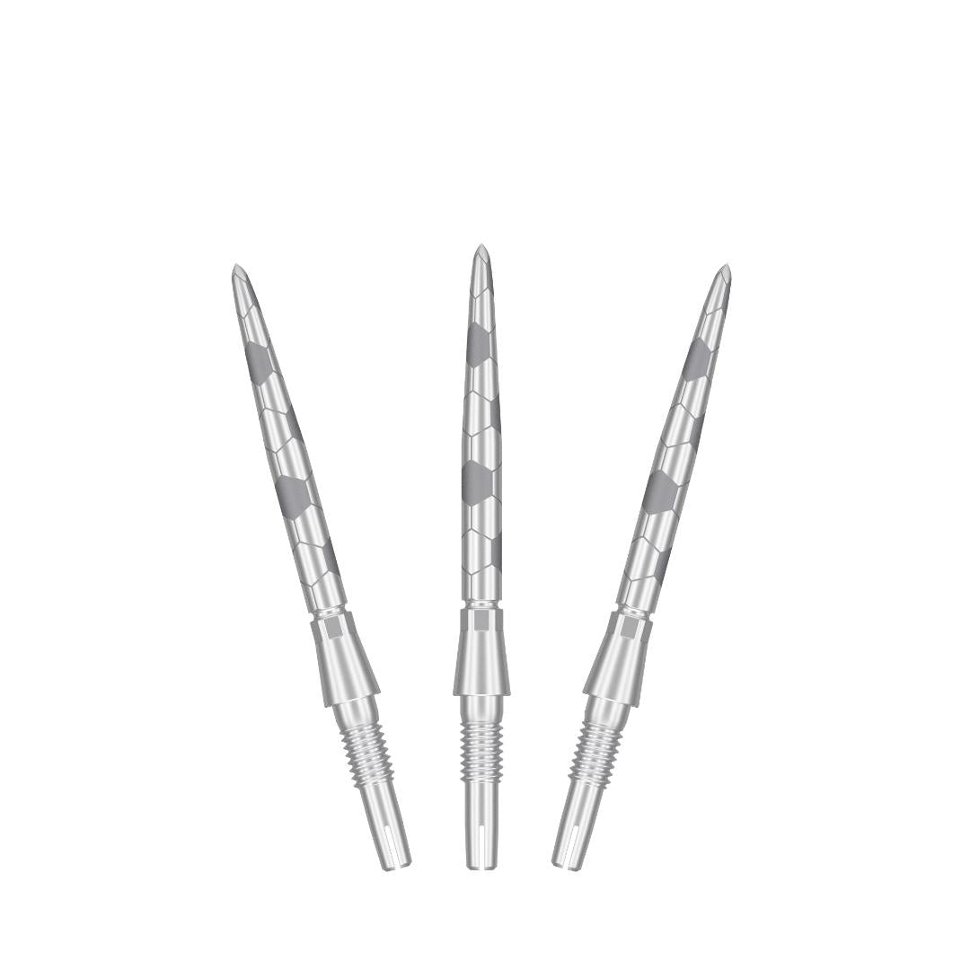 Swiss Storm Onyx Points silver