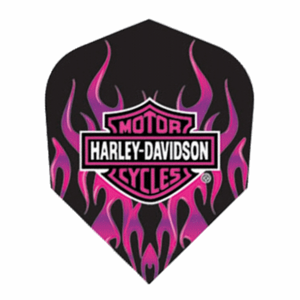 Harley Davidson Flights 6449