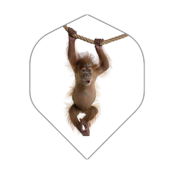 Orangutan flight
